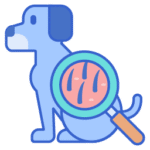 OFTALMOLOGIA VETERINÁRIA NO CENTRO VETERINÁRIO ESTADOS UNIDOS EM CAMPINAS - SP